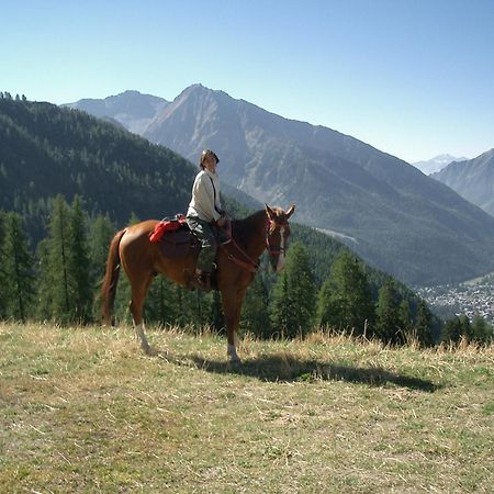 Le Vieux Rascard Chambres D'Hotes Champoluc Zewnętrze zdjęcie