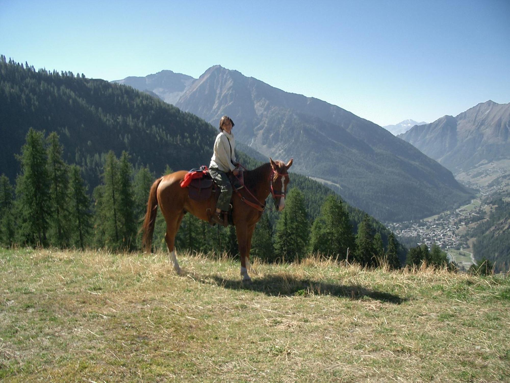 Le Vieux Rascard Chambres D'Hotes Champoluc Zewnętrze zdjęcie