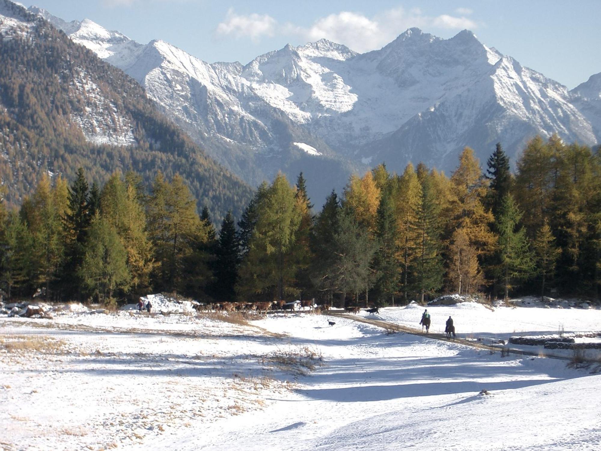 Le Vieux Rascard Chambres D'Hotes Champoluc Zewnętrze zdjęcie