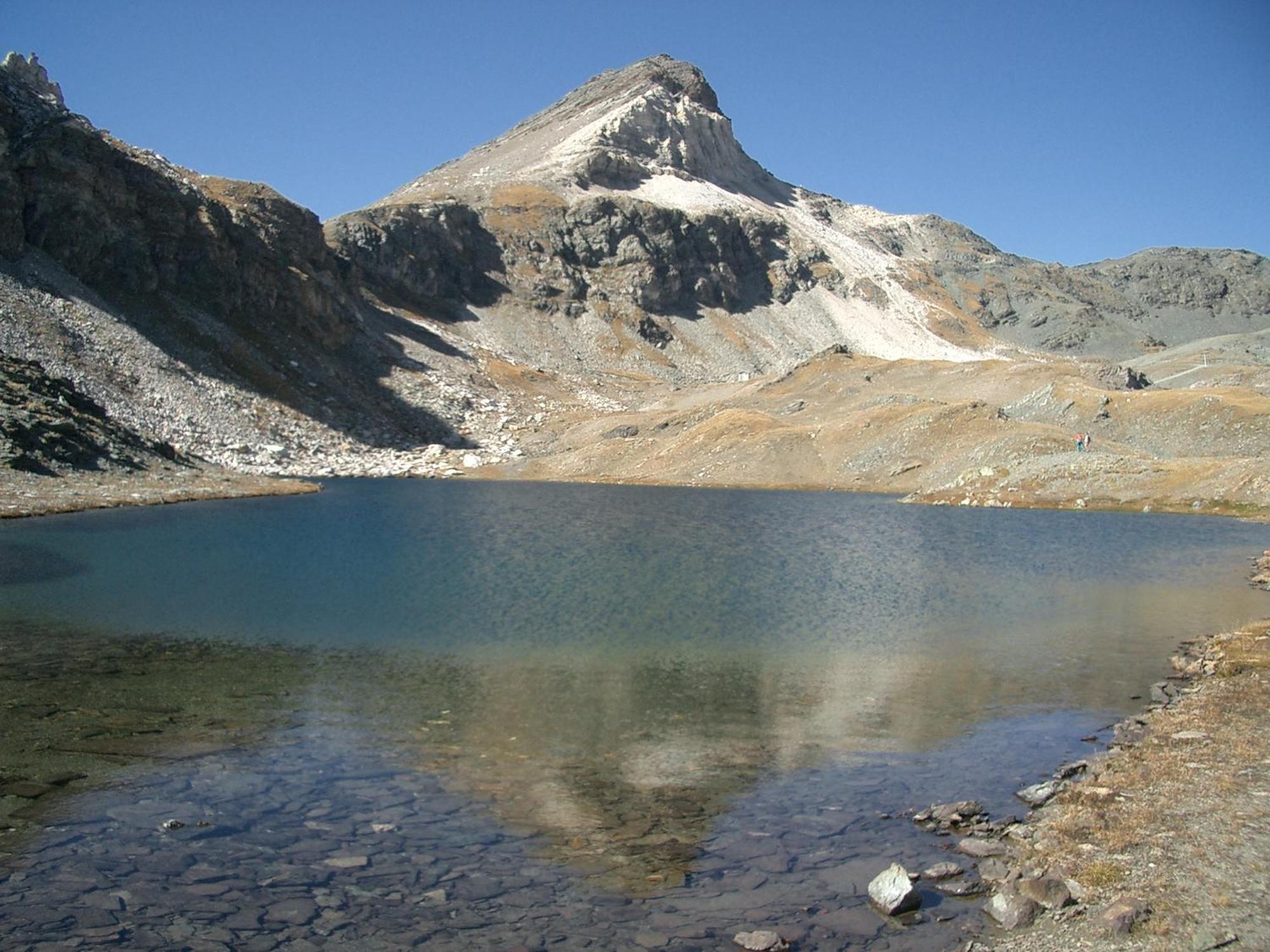 Le Vieux Rascard Chambres D'Hotes Champoluc Zewnętrze zdjęcie