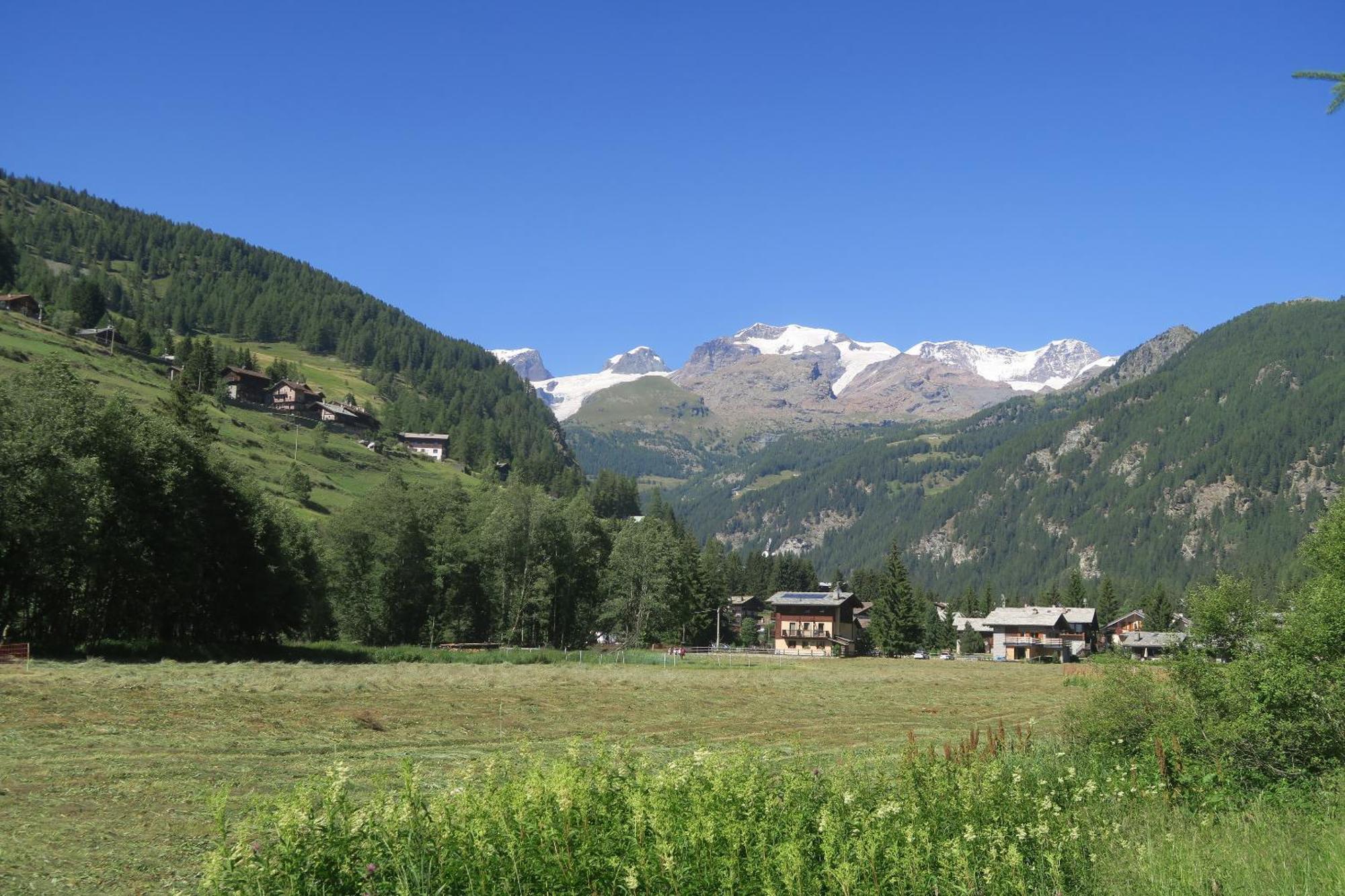 Le Vieux Rascard Chambres D'Hotes Champoluc Zewnętrze zdjęcie